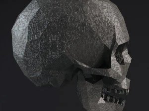 научно-фантастические формы - низкополигональный череп 3D Модель