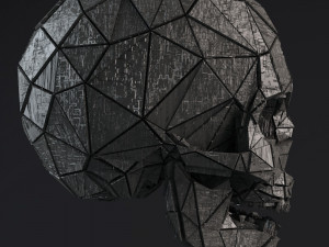 sci-fi shapes - the skull low-poly Modello 3D