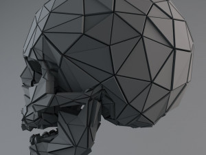 sci-fi shapes - the skull low-poly Modello 3D