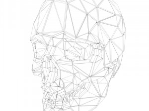 sci-fi shapes - the skull low-poly Modello 3D