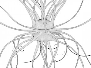 fantasy virus 3D Model