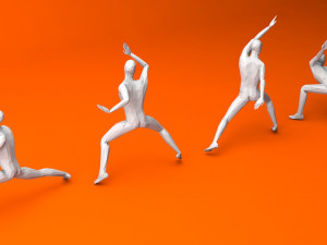 kung fu martial artists pack 1 low-poly 3D Model