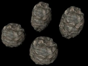 asteroidi Modello 3D