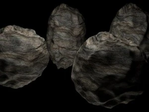 asteroids 3D Model