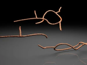 virus ebola microscopico Modello 3D