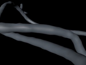 microscopic ebola virus Modello 3D