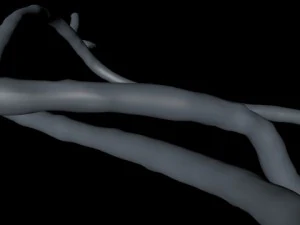 microscopic ebola virus 3D Model