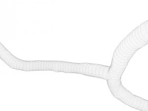 microscopic ebola virus 3D Model