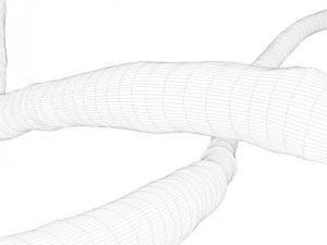 microscopic ebola virus 3D Model