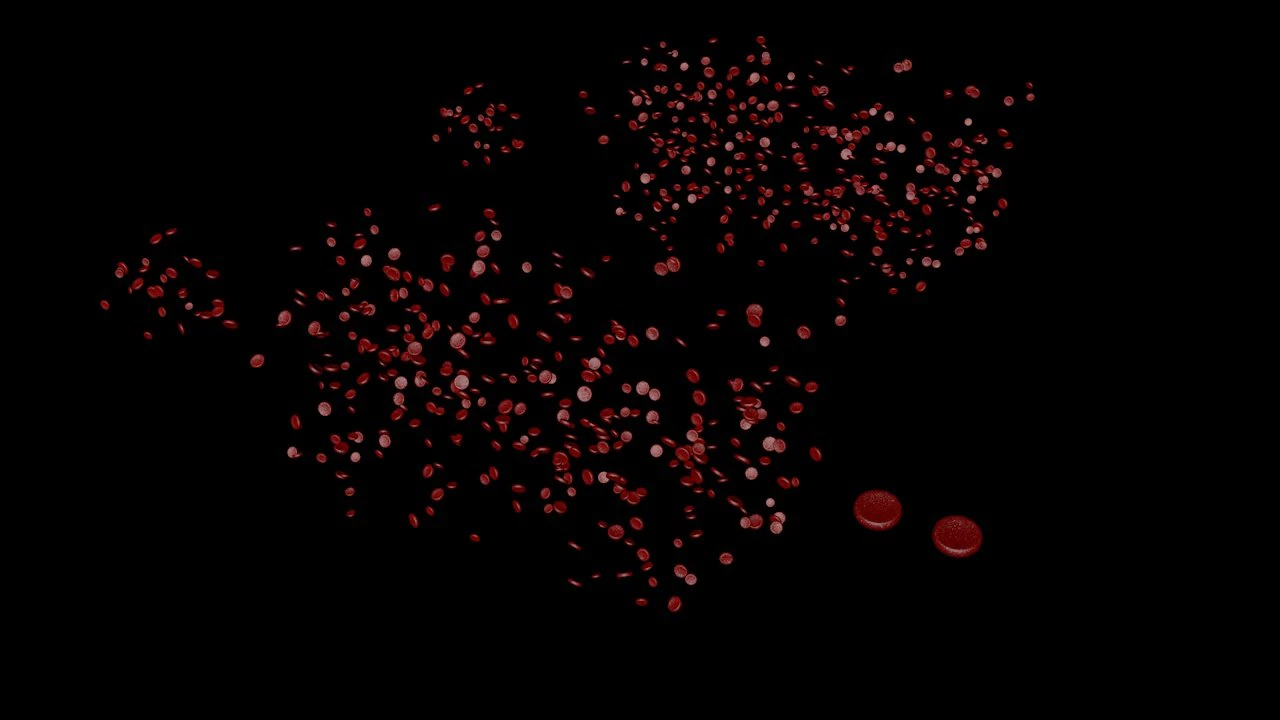 microscopic blood cells 3D Model .c4d .max .obj .3ds .fbx .stl .blend 
