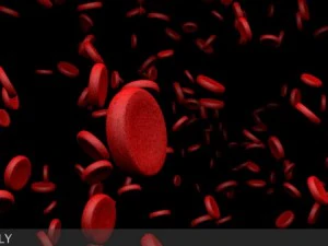 microscopic blood cells 3D Model