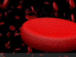 microscopic blood cells 3D Model
