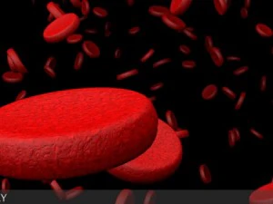 microscopic blood cells 3D Model