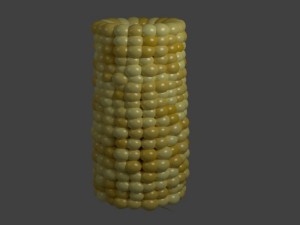 corn on the cob Modèle 3D