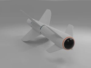 penguin agm 119 3D Model
