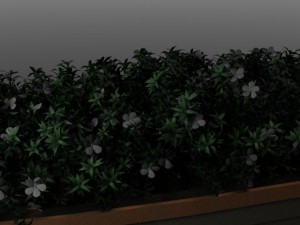 flower bed Modelo 3D
