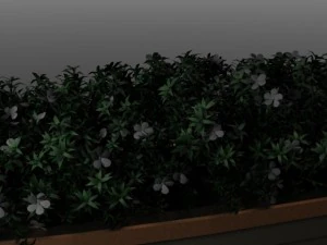 flower bed 3D Model