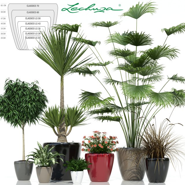 plants collection lechuza classico 3D मॉडल .c4d .max .obj .3ds .fbx .stl .blend 