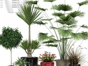 plants collection lechuza classico 3Dモデル