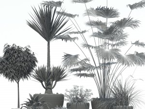 plants collection lechuza classico 3D मॉडल