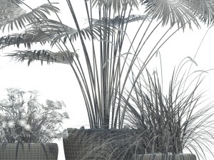 plants collection lechuza classico 3D मॉडल