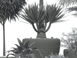 plants collection lechuza classico 3D मॉडल