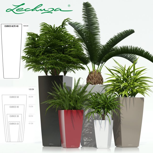 plants collection lechuza cubico 3D Model .c4d .max .obj .3ds .fbx .stl .blend 