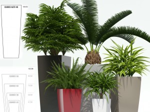 plants collection lechuza cubico 3D Model
