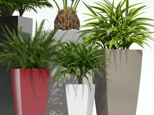 plants collection lechuza cubico 3D Model