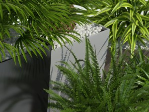 plants collection lechuza cubico 3D Model