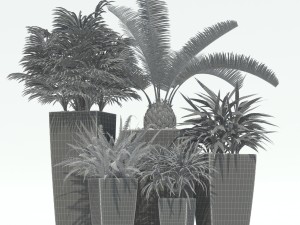 plants collection lechuza cubico 3D Model