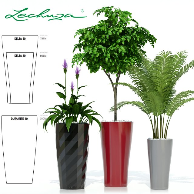 plants collection lechuza diamante delta 3D Модель .c4d .max .obj .3ds .fbx .stl .blend 