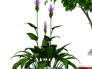 plants collection lechuza diamante delta 3D Model