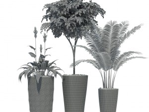 plants collection lechuza diamante delta 3D Модель