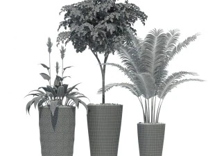 plants collection lechuza diamante delta 3D Model