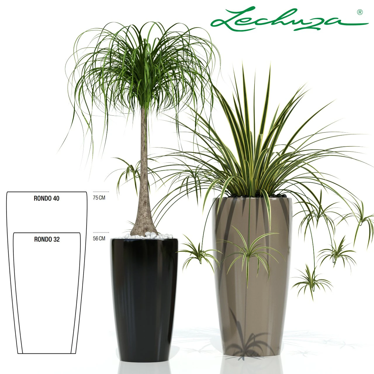 plants collection lechuza rondo 3D Model .c4d .max .obj .3ds .fbx .stl .blend 