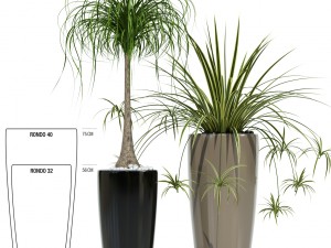 plants collection lechuza rondo 3Dモデル