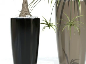 plants collection lechuza rondo 3D Model
