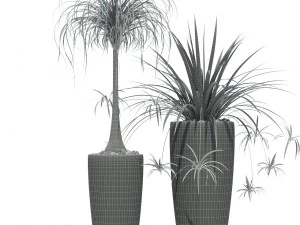 plants collection lechuza rondo 3D Model