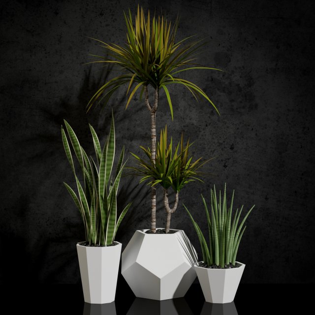 room plants 03 Modello 3D .c4d .max .obj .3ds .fbx .stl .blend 
