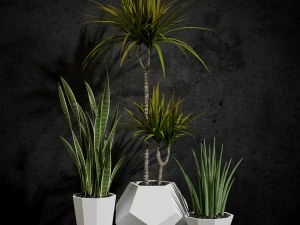 ルームプランツ03 3Dモデル