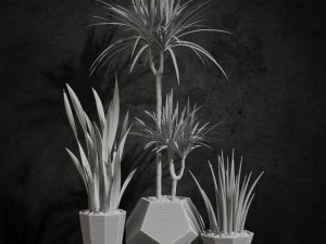 room plants 03 3D Model