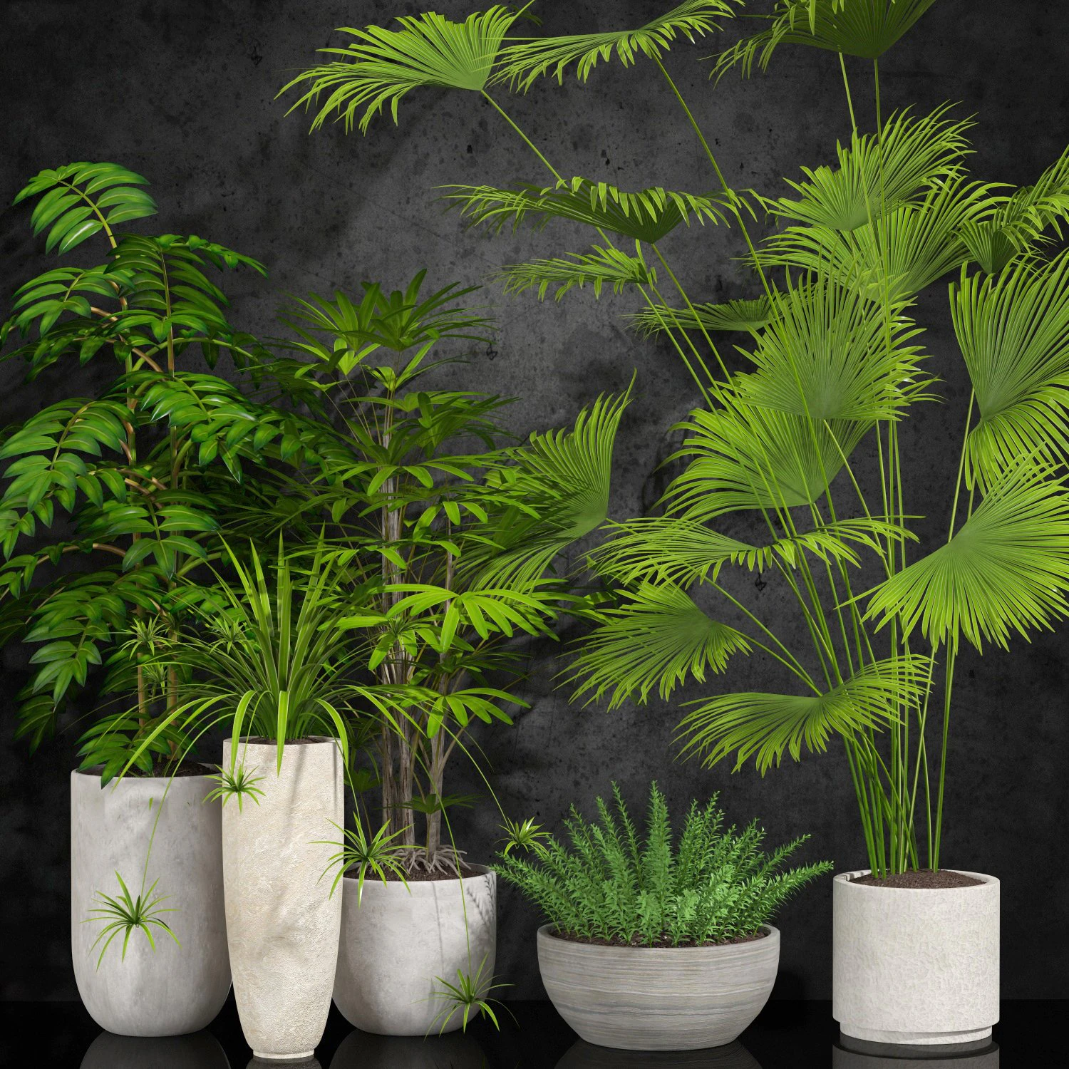 room plants 3D Model .c4d .max .obj .3ds .fbx .stl .blend 