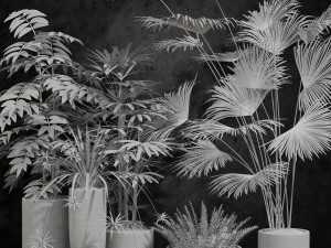 room plants 3Dモデル