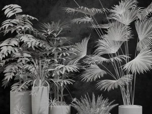 room plants 3D Model