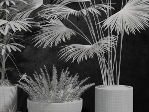 room plants 3Dモデル