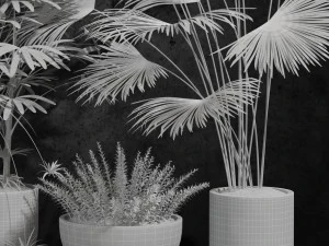 room plants 3D Model