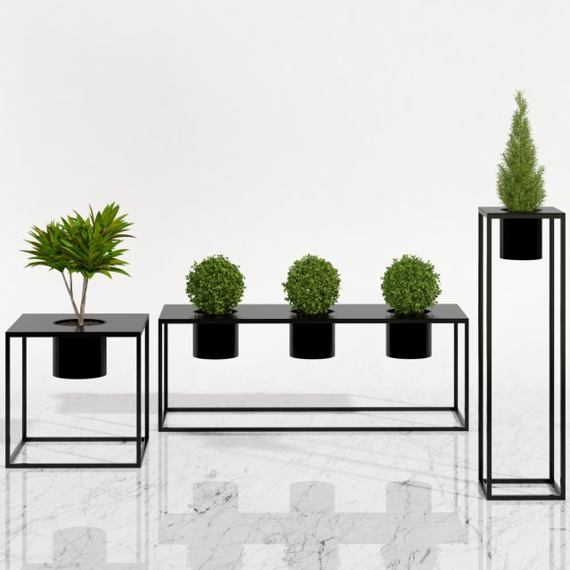 room plants 05 3D Model .c4d .max .obj .3ds .fbx .stl .blend 