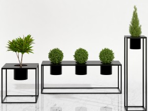 room plants 05 3D Модель