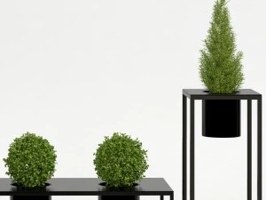 room plants 05 3D Model